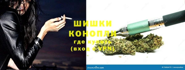 дурь Арсеньев