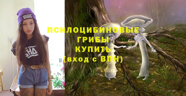 прущие крисы Алексеевка
