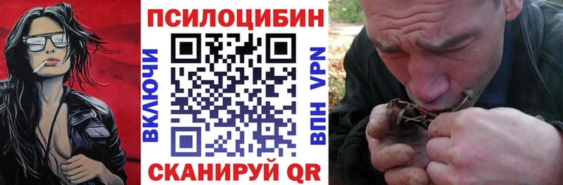 Галлюциногенные грибы Psilocybine cubensis  Купить где  Тосно 